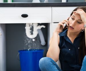 About Water Leak Detection Pros Standish, MI